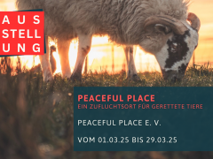 Ausstellung des Gnadenhofs Peaceful Place in der Statdbibliothek Itzehoe